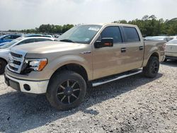 Salvage cars for sale at Houston, TX auction: 2013 Ford F150 Supercrew