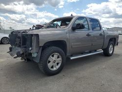 Vehiculos salvage en venta de Copart Dunn, NC: 2013 Chevrolet Silverado K1500 LT