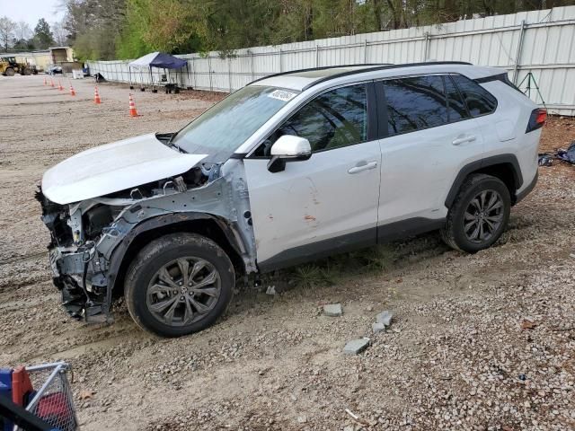 2023 Toyota Rav4 XLE Premium