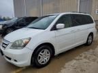 2007 Honda Odyssey EXL