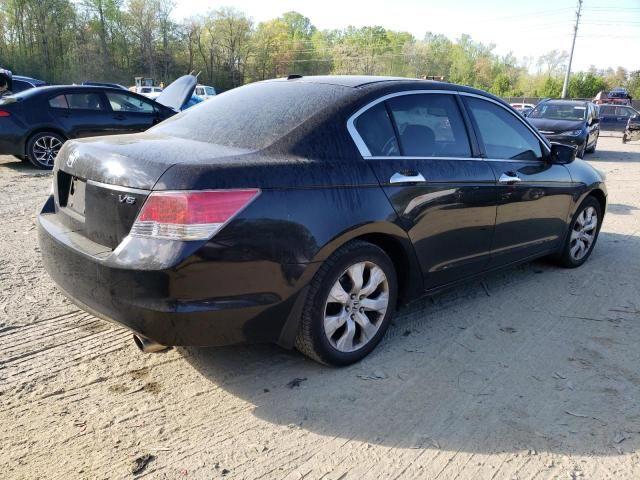 2010 Honda Accord EXL