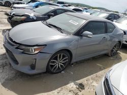 Salvage cars for sale at Lebanon, TN auction: 2014 Scion TC