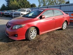 Salvage cars for sale from Copart Finksburg, MD: 2009 Toyota Corolla Base