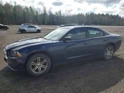 Dodge Charger Police salvage cars for sale: 2014 Dodge Charger Police