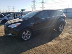 Salvage cars for sale at Elgin, IL auction: 2013 Ford Escape SE