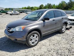 Salvage cars for sale from Copart Memphis, TN: 2010 Honda CR-V EX