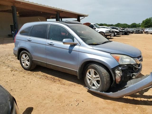 2010 Honda CR-V EXL