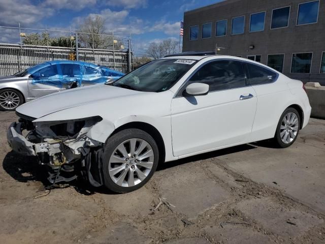 2008 Honda Accord EXL