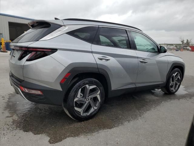 2024 Hyundai Tucson Limited