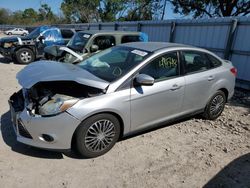 Ford Focus SE salvage cars for sale: 2013 Ford Focus SE