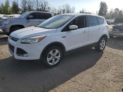 Salvage cars for sale at Portland, OR auction: 2014 Ford Escape SE