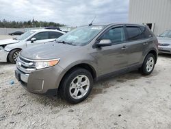 Ford Edge SEL Vehiculos salvage en venta: 2013 Ford Edge SEL