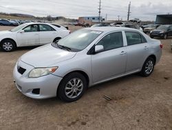 Salvage cars for sale from Copart Colorado Springs, CO: 2009 Toyota Corolla Base