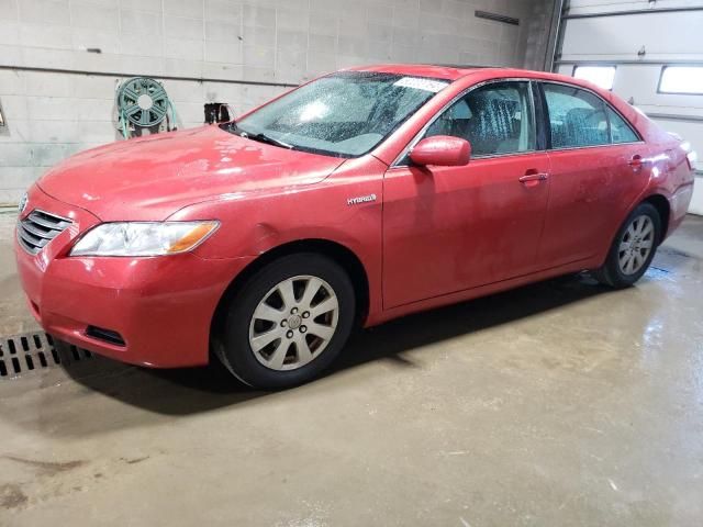 2009 Toyota Camry Hybrid