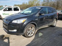 Salvage cars for sale at Ellwood City, PA auction: 2013 Ford Escape SEL