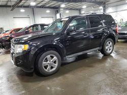 Salvage cars for sale at Ham Lake, MN auction: 2010 Ford Escape Limited