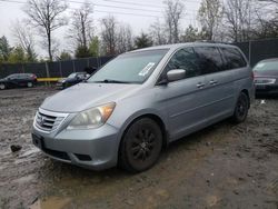 2009 Honda Odyssey EXL en venta en Waldorf, MD