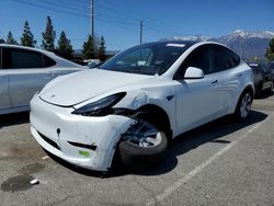 Salvage cars for sale from Copart Rancho Cucamonga, CA: 2023 Tesla Model Y