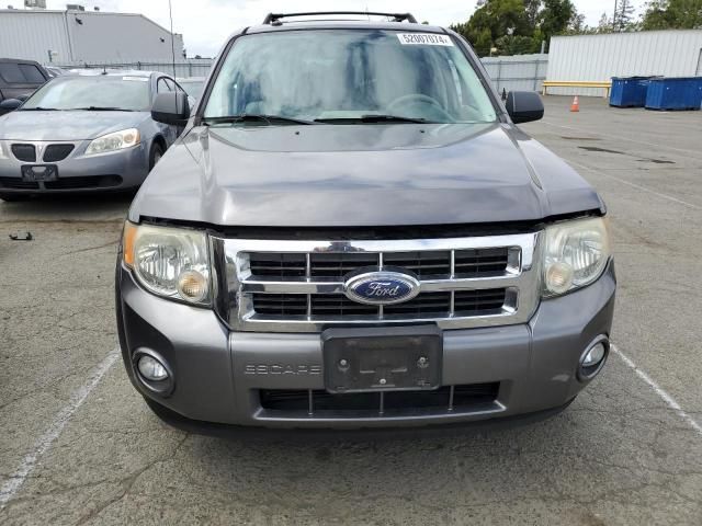 2009 Ford Escape XLT