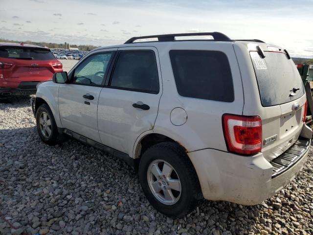 2012 Ford Escape XLT