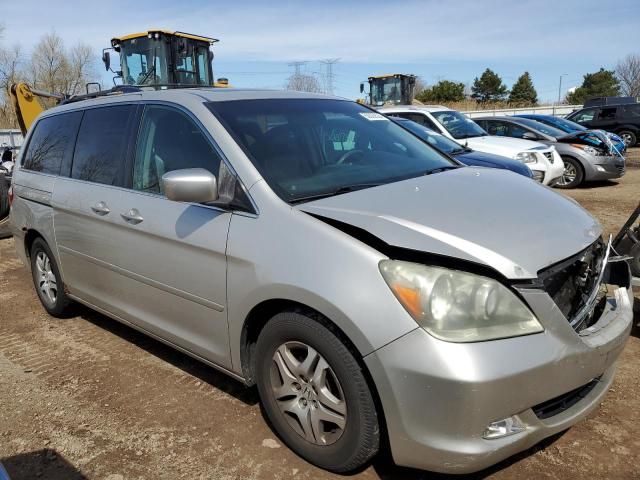 2005 Honda Odyssey EXL