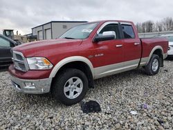 Salvage trucks for sale at Wayland, MI auction: 2010 Dodge RAM 1500