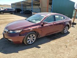 Salvage cars for sale at auction: 2013 Acura TL Tech
