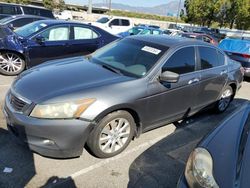 Salvage cars for sale at Rancho Cucamonga, CA auction: 2008 Honda Accord EXL