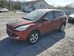 2014 Ford Escape SE for sale in York Haven, PA