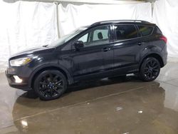 Salvage cars for sale at Walton, KY auction: 2019 Ford Escape SE