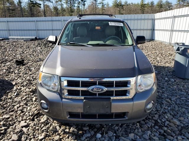 2012 Ford Escape XLT