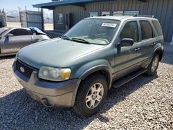 Vehiculos salvage en venta de Copart Magna, UT: 2005 Ford Escape XLT