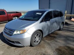 Salvage cars for sale at Albuquerque, NM auction: 2011 Honda Odyssey EXL