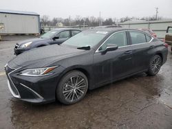 Salvage cars for sale at Pennsburg, PA auction: 2024 Lexus ES 300H Base