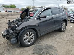 Salvage cars for sale at Columbus, OH auction: 2014 Honda CR-V EXL