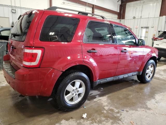 2010 Ford Escape XLT