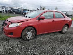 Toyota salvage cars for sale: 2009 Toyota Corolla Base