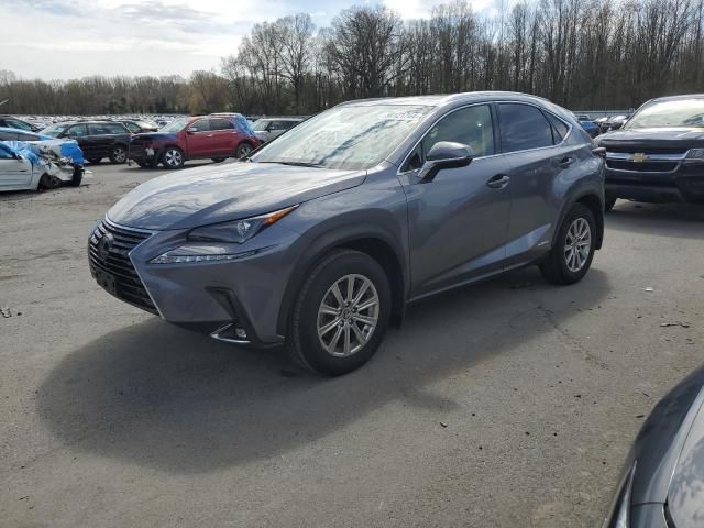 2020 Lexus NX 300H