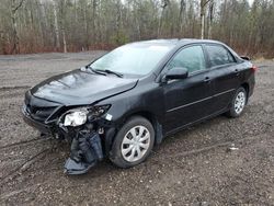 Salvage cars for sale from Copart Bowmanville, ON: 2012 Toyota Corolla Base