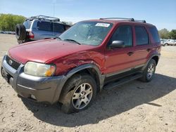Salvage cars for sale at Conway, AR auction: 2004 Ford Escape XLT