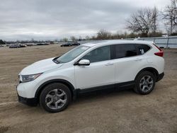 Salvage cars for sale from Copart London, ON: 2019 Honda CR-V EX