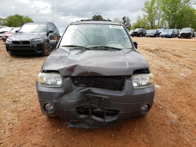 2006 Ford Escape XLT