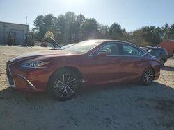 Lexus es 350 salvage cars for sale: 2024 Lexus ES 350 Base