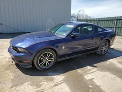 Salvage cars for sale from Copart Duryea, PA: 2010 Ford Mustang