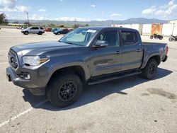 Salvage cars for sale at Van Nuys, CA auction: 2021 Toyota Tacoma Double Cab