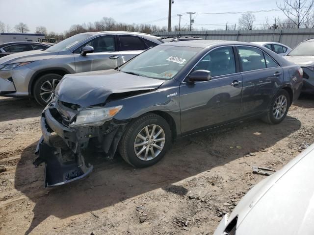 2010 Toyota Camry Hybrid