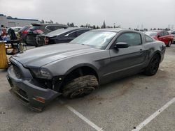 Salvage cars for sale from Copart Rancho Cucamonga, CA: 2013 Ford Mustang