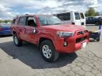 2024 Toyota 4runner SR5/SR5 Premium