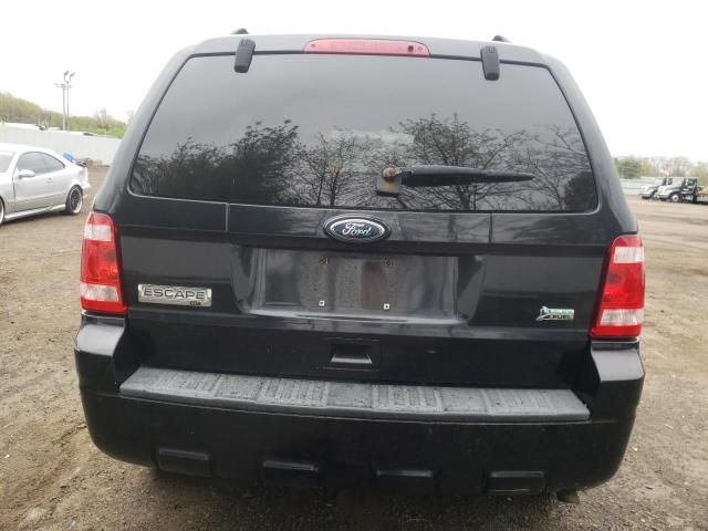 2010 Ford Escape XLT