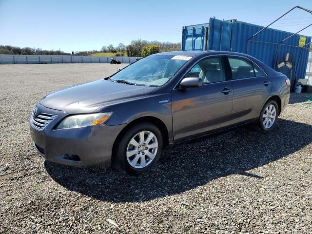 2009 Toyota Camry Hybrid